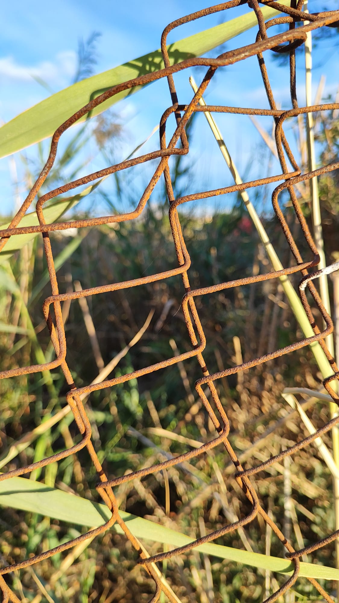 valla oxidada